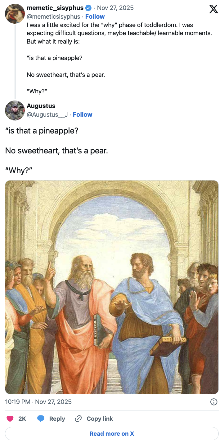 Tweet about curiosity and questioning - Why?